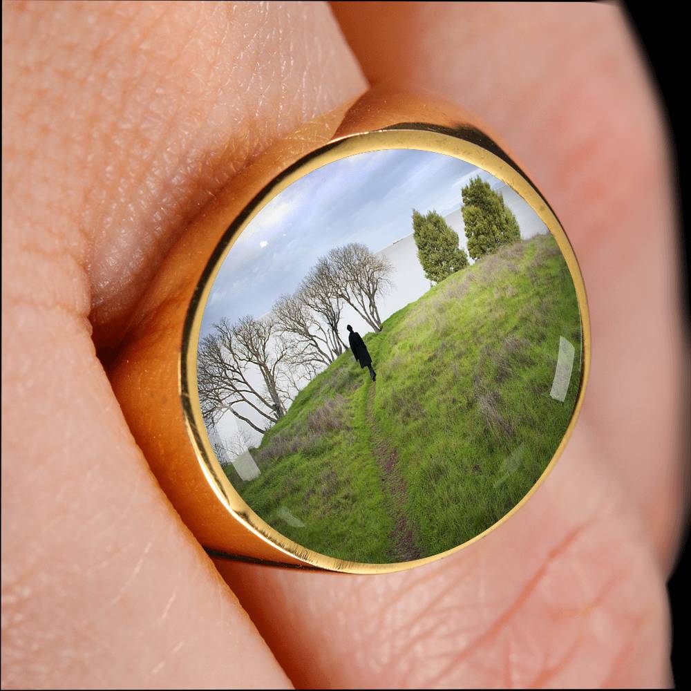 THE JOURNEY RING